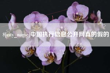 辽宁中国执行信息公开网真的假的