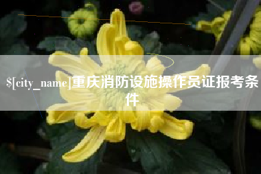 辽宁重庆消防设施操作员证报考条件