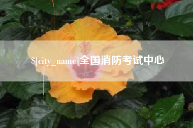 辽宁全国消防考试中心