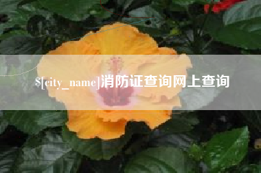 辽宁消防证查询网上查询