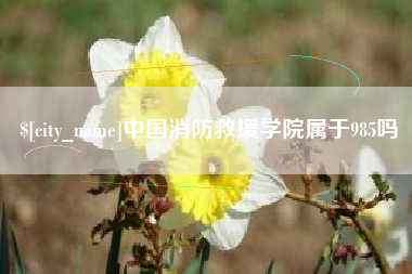 辽宁中国消防救援学院属于985吗