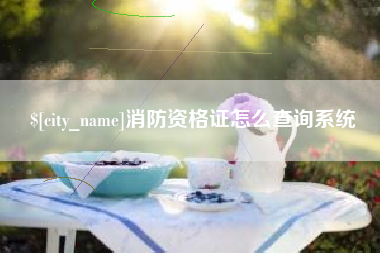 辽宁消防资格证怎么查询系统