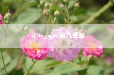辽宁第九金是