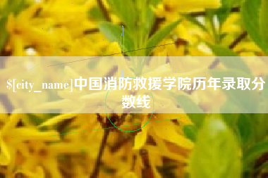 辽宁中国消防救援学院历年录取分数线