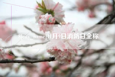 辽宁11月9日消防日全称