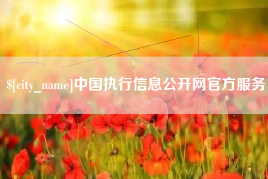 辽宁中国执行信息公开网官方服务