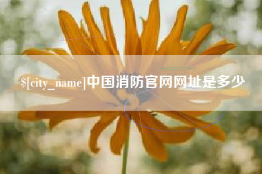 辽宁中国消防官网网址是多少