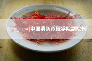 辽宁中国消防救援学院副院长