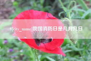 辽宁我国消防日是几月几日