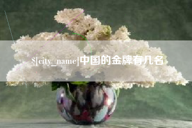 辽宁中国的金牌有几名