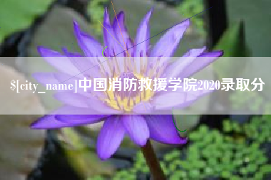 辽宁中国消防救援学院2020录取分