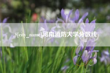 辽宁河南消防大学分数线