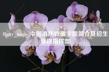 辽宁中国消防救援学院简介及招生章程指挥部