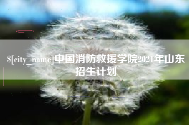 辽宁中国消防救援学院2021年山东招生计划