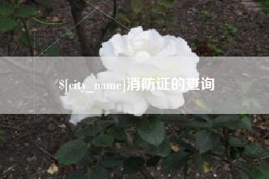 辽宁消防证的查询