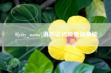 辽宁消防证初级查询系统