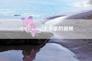 辽宁王子豪的视频