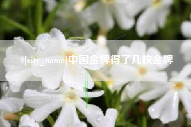 辽宁中国金牌得了几枚金牌