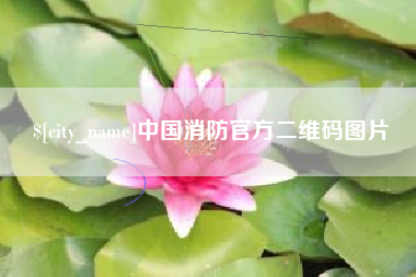 辽宁中国消防官方二维码图片