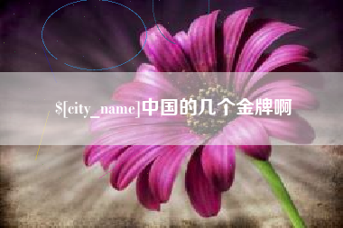 辽宁中国的几个金牌啊
