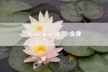 辽宁中国9金牌