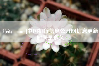 辽宁中国执行信息公开网信息更新时间是多久