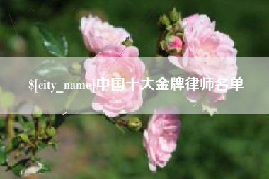 辽宁中国十大金牌律师名单