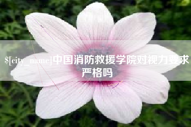 辽宁中国消防救援学院对视力要求严格吗