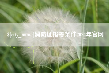辽宁消防证报考条件2024年官网
