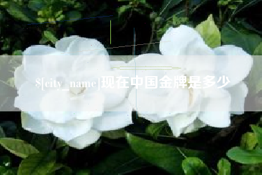 辽宁现在中国金牌是多少