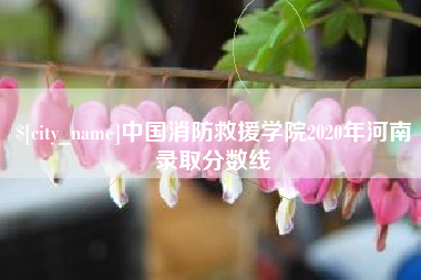 辽宁中国消防救援学院2020年河南录取分数线