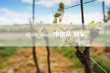 辽宁中国队 冠军