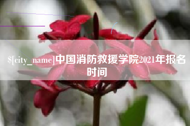 辽宁中国消防救援学院2021年报名时间