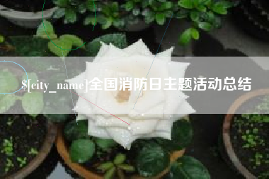 辽宁全国消防日主题活动总结