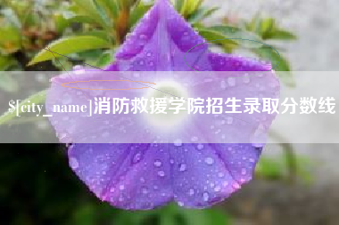 辽宁消防救援学院招生录取分数线