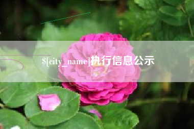 辽宁执行信息公示