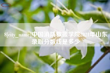 辽宁中国消防救援学院2021年山东录取分数线是多少
