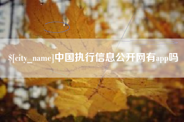 辽宁中国执行信息公开网有app吗
