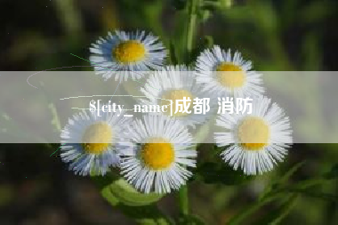 辽宁成都 消防
