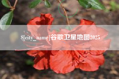 辽宁谷歌卫星地图2025