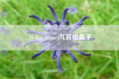 辽宁九宫格盘子