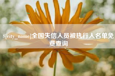 辽宁全国失信人员被执行人名单免费查询