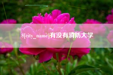 辽宁有没有消防大学