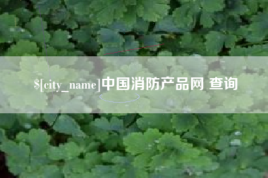 辽宁中国消防产品网 查询