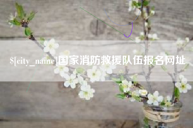 辽宁国家消防救援队伍报名网址