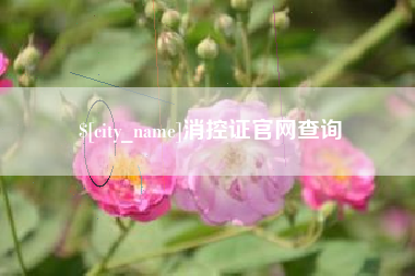 辽宁消控证官网查询