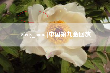 辽宁中国第九金回放