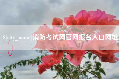 辽宁消防考试网官网报名入口网址