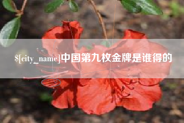 辽宁中国第九枚金牌是谁得的