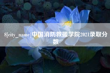 辽宁中国消防救援学院2021录取分数